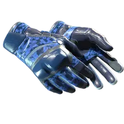 ★ Moto Gloves | Polygon