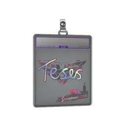 Sticker Slab | TeSeS (Holo) | Stockholm 2021