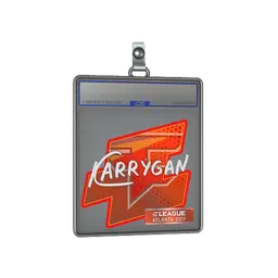 Sticker Slab | karrigan | Atlanta 2017