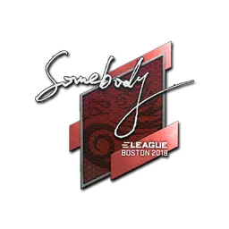 Sticker | somebody | Boston 2018