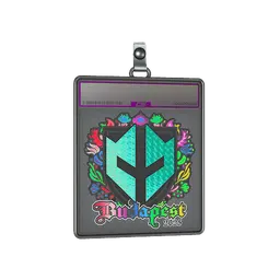 Sticker Slab | Imperial Esports (Holo) | Budapest 2025