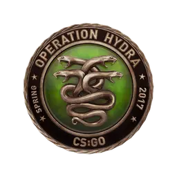 Operation Hydra Challenge Coin