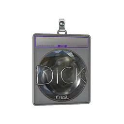 Sticker Slab | DickStacy (Foil) | Katowice 2019