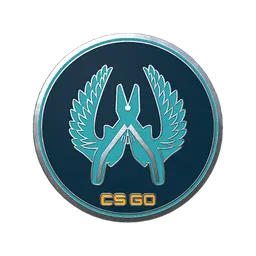 Guardian Pin