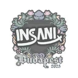 Sticker | insani | Budapest 2025