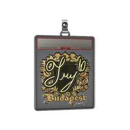 Sticker Slab | TRY (Gold) | Budapest 2025