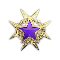 2015 Service Medal