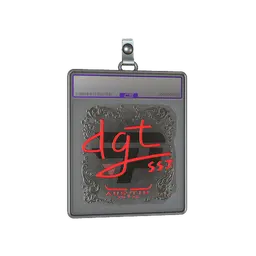 Sticker Slab | dgt (Foil) | Austin 2025
