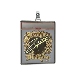 Sticker Slab | ZywOo (Gold, Champion) | Budapest 2025