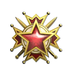 2019 Service Medal