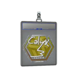 Sticker Slab | Calyx | London 2018