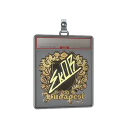 Sticker Slab | sk0R (Gold) | Budapest 2025