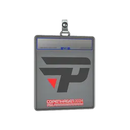 Sticker Slab | paiN Gaming | Copenhagen 2024