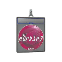 Sticker Slab | n0rb3r7 | Katowice 2019
