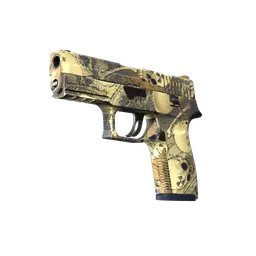 P250 | Contamination