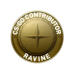 Ravine Map Coin