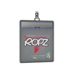 Sticker Slab | ropz | Antwerp 2022