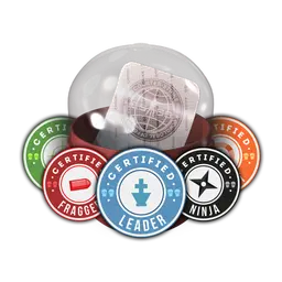 Team Roles Capsule