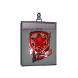 Sticker Slab | Gambit Esports (Foil) | Boston 2018
