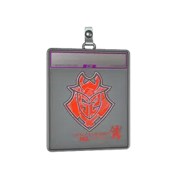 Sticker Slab | G2 Esports (Holo) | Antwerp 2022