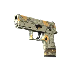 P250 | Modern Hunter