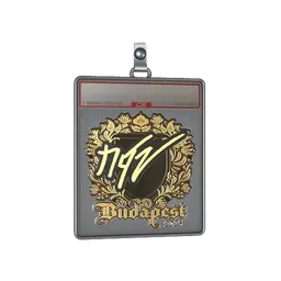 Sticker Slab | NQZ (Gold) | Budapest 2025