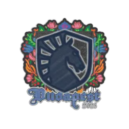 Sealed Graffiti | Team Liquid | Budapest 2025