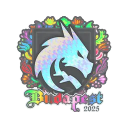 Sticker | Team Spirit (Holo) | Budapest 2025