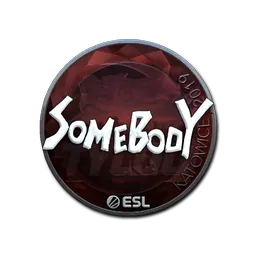 Sticker | somebody (Foil) | Katowice 2019