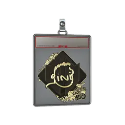 Sticker Slab | VINI (Gold) | Rio 2022