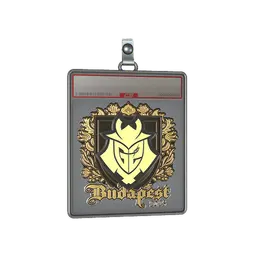 Sticker Slab | G2 esports (Gold) | Budapest 2025