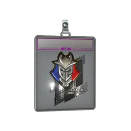 Sticker Slab | G2 Esports (Foil) | Boston 2018