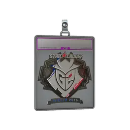 Sticker Slab | G2 Esports (Foil) | Berlin 2019