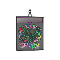 Sticker Slab | TRY (Holo) | Budapest 2025