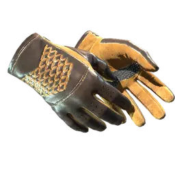 ★ Driver Gloves | Overtake