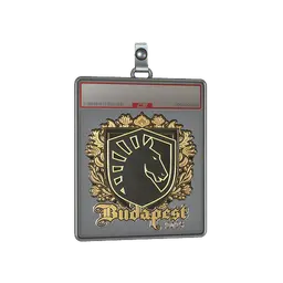 Sticker Slab | Team Liquid (Gold) | Budapest 2025