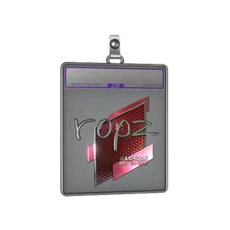 Sticker Slab | ropz (Foil) | Boston 2018