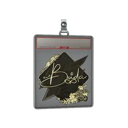 Sticker Slab | BUDA (Gold) | Rio 2022