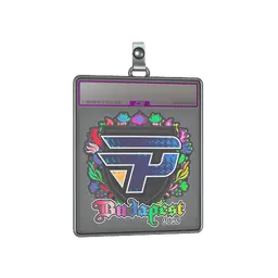 Sticker Slab | paiN Gaming (Holo) | Budapest 2025