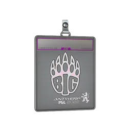 Sticker Slab | BIG (Holo) | Antwerp 2022