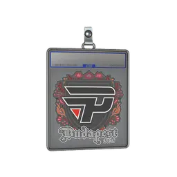 Sticker Slab | paiN Gaming | Budapest 2025
