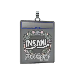 Sticker Slab | insani | Budapest 2025