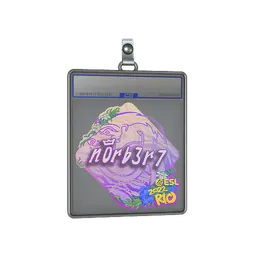 Sticker Slab | n0rb3r7 | Rio 2022