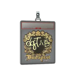 Sticker Slab | dgt (Gold) | Budapest 2025