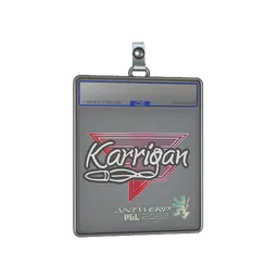 Sticker Slab | karrigan | Antwerp 2022