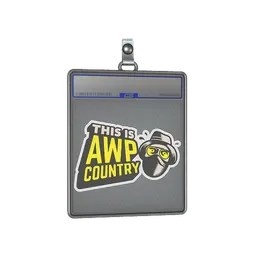 Sticker Slab | Awp Country