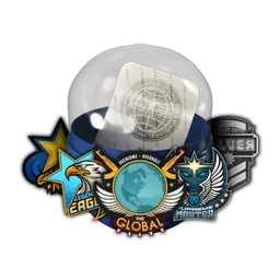 Skill Groups Capsule