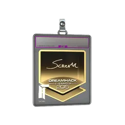 Sticker Slab | ScreaM (Gold) | Cluj-Napoca 2015