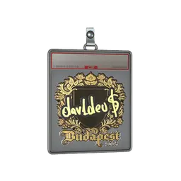 Sticker Slab | dav1deuS (Gold) | Budapest 2025
