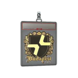 Sticker Slab | PARIVISION (Gold) | Budapest 2025